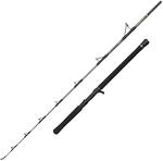 PENN Regiment IV Jig 6Ft F 30-50Lb C 1Sec Conv au2369