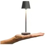 Akku-Tischleuchte Nuindie pocket 210mm graphitgrau rund