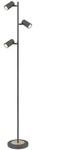 Robby Stehleuchte Metall Graphit, 3X Gu10 Led
