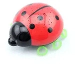 Nachtlicht Beetlestar
