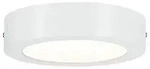 LED Panel Lunar rund 170mm 3000K Wei&szlig; matt