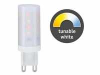 Standard 230V LED Stiftsockel G9 1er-Pack 300lm 4W Tunable White dimmbar Klar