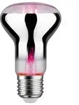Grow Green Edition Filament 230V LED Reflektor E27 R63 R63 200lm 6,5W 1300K