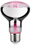 Grow Green Edition Filament 230V LED Reflektor E27 R80 R80 200lm 6,5W 1300K