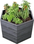 Otto Graf 645230, Otto Graf GARANTIA ERGO Hochbeet XL 75 Wood, inkl. FLORA