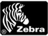 Zebra 200963, Zebra Direct 2100 - Matt - permanenter Gummiklebstoff - beschichtet -