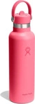 Hydro Flask S21CFS668, Hydro Flask 21 oz Standard Mouth w. Flex Straw Cap pink...
