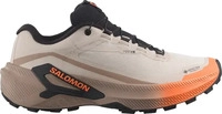Salomon l45388200, Salomon GENESIS 2 GTX Women UK 7 beige - rainy day/desert