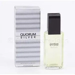 Antonio Puig - Quorum Silver - 100ml EDT Eau de Toilette
