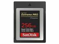 Extreme PRO CFexpress Card 256GB Type B, 1700/1200 MB/s