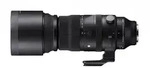 Sports 5,0-6,3/150-600 mm DG DN OS Sony E-Mount Objektiv