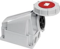 CEE-Wandsteckdose 63A, 5-polig, 400V Power Twist, IP66/67 (klein) inkl.