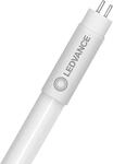 Ledvance T5 HF HO80 LED-R&ouml;hre P 1449 mm 36W, 830 - warmwei&szlig; - 5050 lm