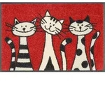 wash+dry Fussmatte Three Cats, Rot, Textil, Katze, rechteckig, 40x60 cm, Oeko-Tex&reg;