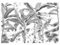 Komar Fototapete, Schwarz, Weiß, Papier, 400x280 cm, Tapeten Shop, Fototapeten