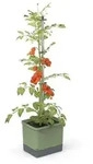 Gusta Garden Pflanzentopf, Dunkelgr&uuml;n, Kunststoff, rechteckig, 34.7x135.4x27.7...