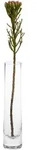 Leonardo Vase Novara, Transparent, Glas, l&auml;nglich, 5x24x5 cm, zum Stellen,