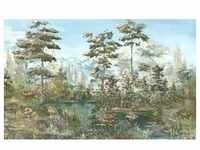 Komar Vliestapete, Mehrfarbig, Bäume, 400x250 cm, Fsc, Tapeten Shop,...