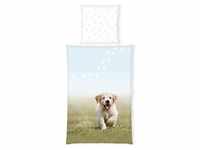 Herding Jugendbettwäsche, Mehrfarbig, Textil, Hund, 135x200 cm, Oeko-Tex® Standard