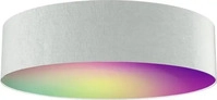 Tint LED-DECKENLEUCHTE Grau, Energieeffizienzklasse: F