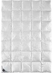 Billerbeck Ganzjahresdecke Belvedere, Champagner, Textil, F&uuml;llung: Federn, 155x220