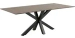 Mid.you Esstisch, Braun, Keramik, rechteckig, eckig, 100x75.5x200 cm, Esszimmer,