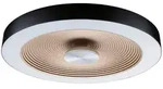 Paulmann Deckenleuchte Volea, Schwarz, Kunststoff, 320 mm, rund,rund, 6.4 cm, Lampen