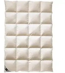 Billerbeck Kassettendecke Duchessa Kasette II, Champagner, Textil, F&uuml;llung:...