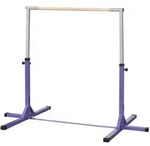 Homcom Gymnastik-Turnreck,, Violett, Metall, 121x194 cm, Outdoor Spielzeug