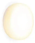 Newgarden LED-AU&szlig;ENLEUCHTE Papaya, Wei&szlig;, Transparent, Kunststoff, rund,rund, 3.5