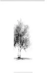 Fl&auml;chenvorhang Tree, Wei&szlig;, Grau Hochglanz, Textil, Graphik, 60x245 cm,...