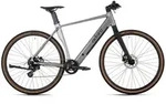 Elektrofahrrad E-Citybike, Silber, Metall, 180x70x100 cm, Geschwindigkeitsanzeige,