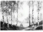 Wallarena Fototapete, Grau, Papier, Baum/Pflanze/Natur, Rechteckig, 350x250 cm,...