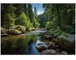 Wallarena Fototapete, Mehrfarbig, Papier, Uni, Rechteckig, 150x105 cm, FSC 100%,