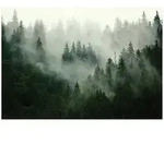 Wallarena Fototapete, Mehrfarbig, Papier, Baum/Pflanze/Natur, Rechteckig,...