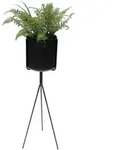 DanDiBo Blumenst&auml;nder, Schwarz, Metall, 25x77.5x25 cm, Wohnzimmer,...