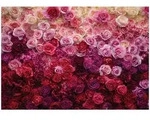 Wallarena Fototapete, Mehrfarbig, Papier, Uni, Rechteckig, 150x105 cm, FSC 100%,