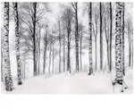 Wallarena Fototapete, Mehrfarbig, Papier, Baum/Pflanze/Natur, Rechteckig,...