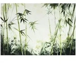 Wallarena Fototapete, Gr&uuml;n, Papier, Baum/Pflanze/Natur, Rechteckig, 300x210...