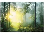 Wallarena Fototapete, Mehrfarbig, Papier, Baum/Pflanze/Natur, Rechteckig,...