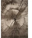 Novel Webteppich Ibiza, Graubraun, Textil, Holzoptik, rechteckig, 80x150 cm, ISO