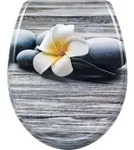 Woltu WC, Grau, Wei&szlig;, Kunststoff, Oval, 37x2.51x45 cm, Badezimmer, WC...