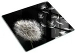 Tulup Glasplatte, Schwarz, Glas, 60x0.4x52 cm, K&uuml;chenger&auml;te,...