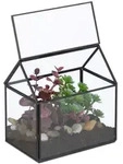 Relaxdays Pflanzenterrarium, Schwarz, Glas, Metall, 15x15x10 cm, Gartenzubeh&ouml;r,