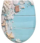 Woltu Toilettendeckel, Blau, Wei&szlig;, Kunststoff, Oval, 37x2.51x47 cm,...
