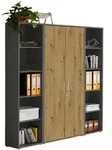 Mid.you Aktenschrank Office Edition, Anthrazit, Eiche Artisan, Holzwerkstoff, 12