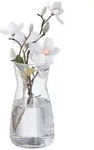 Relaxdays Blumenvase, Transparent, Glas, Rund, 20 cm, Dekoration, Vasen, Glasvasen