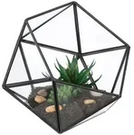 Relaxdays Terrarium, Transparent, Glas, Metall, 16 cm, Dekoration, Vasen, Glasvasen
