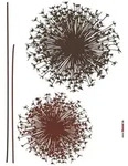Komar Dekosticker, Braun, Klar, Kunststoff, 17-teilig, 50x70 cm, Made in Germany,