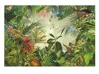 Komar Vliestapete Into THE Wild, Mehrfarbig, Papier, 368x248 cm, Made in Germany, FSC
